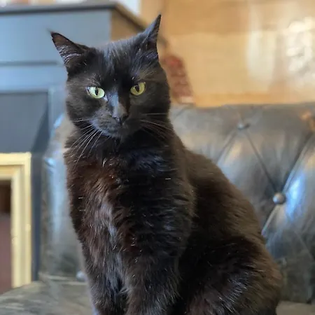 Grand Haussmanien De Standing Avec Jacuzzi Terrasse Et Parking En Hyper Centre Apartamento