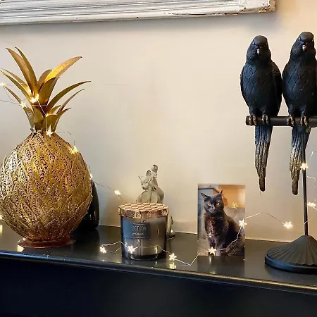 Grand Haussmanien De Standing Avec Jacuzzi Terrasse Et Parking En Hyper Centre