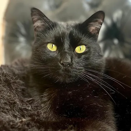 Grand Haussmanien De Standing Avec Jacuzzi Terrasse Et Parking En Hyper Centre Apartamento